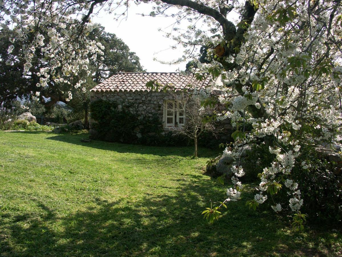 Li Pireddi Villa Алиенту Екстериор снимка