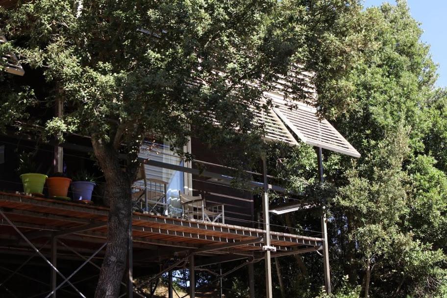 Li Pireddi Villa Алиенту Екстериор снимка