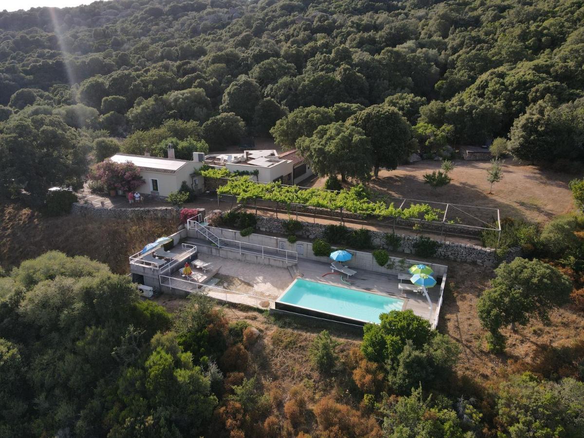 Li Pireddi Villa Алиенту Екстериор снимка